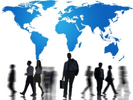 How successful start-up teams allocate roles