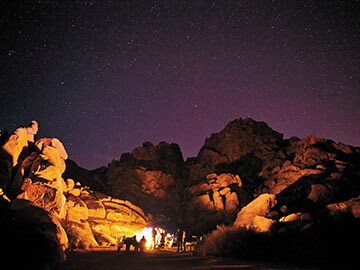 New Year's Eve at the Joshua Tree National Park