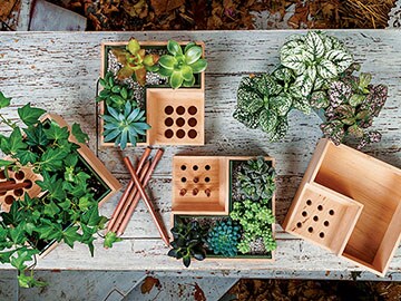 Table-top garden and leaf-shaped chair for your home