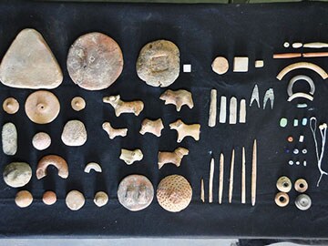 In search of the Harappan DNA