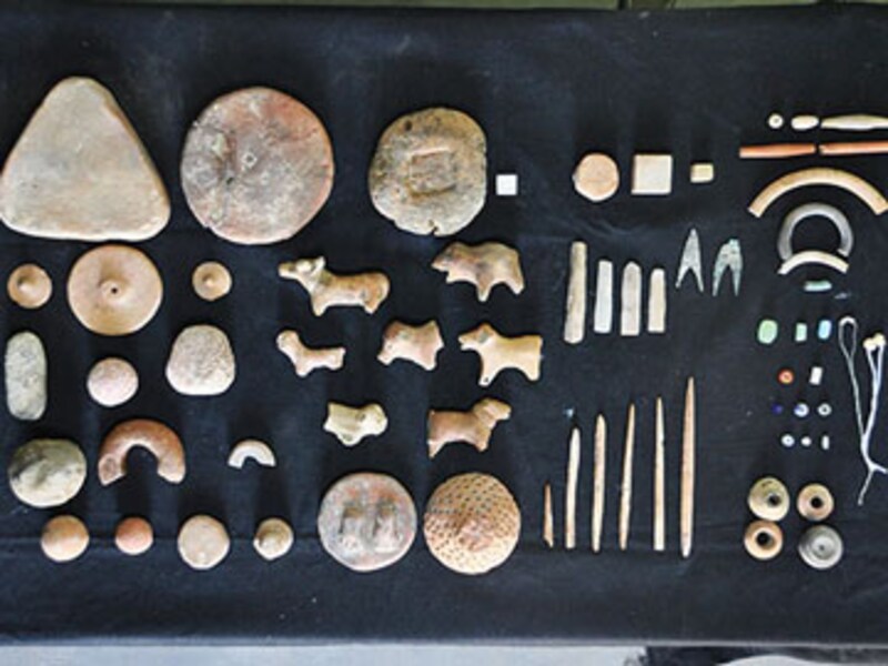 In search of the Harappan DNA
