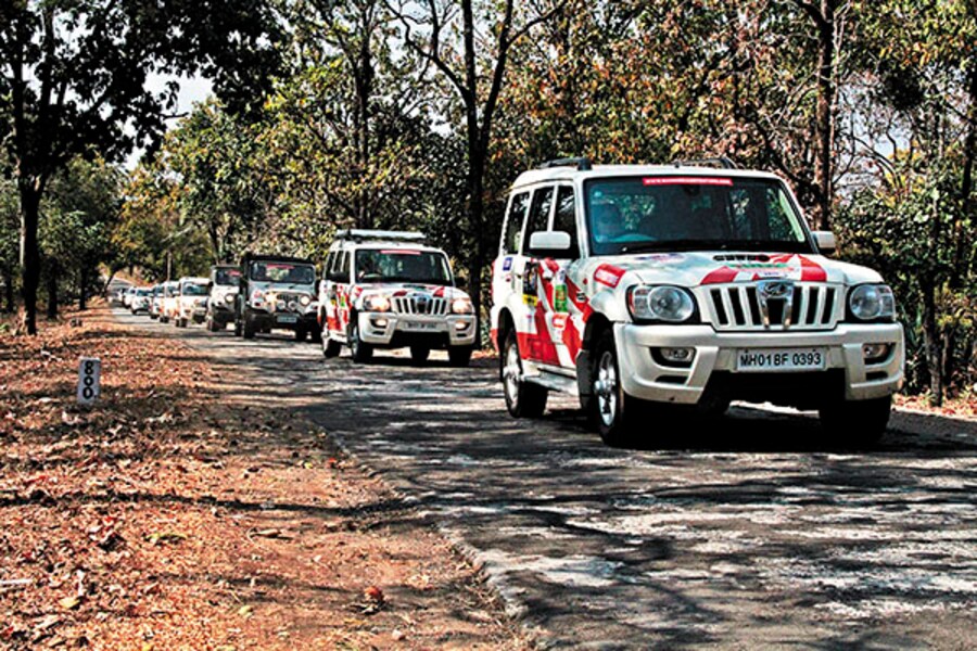 Waiting for Sher Khan in Pench