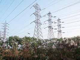 Tata hopes for a power push in India: Anil Sardana