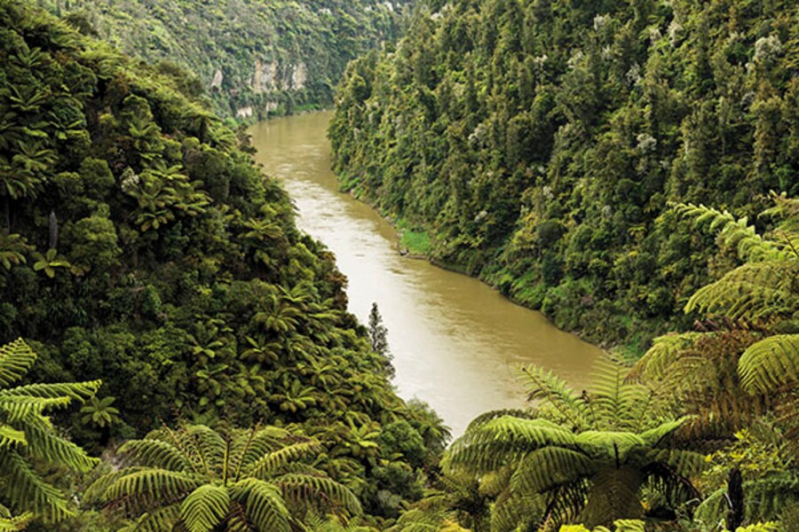 New Zealand spoils you for choices, but is best explored on foot