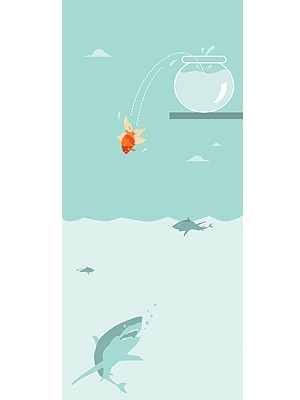 Thoughts on Risk