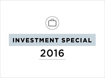 A model portfolio to survive 2016