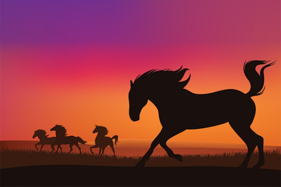 Finding the next billion-dollar company