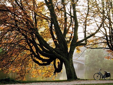 Amsterdam: A city straight out of a fairytale