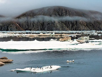 A journey to the end of the world: The Arctic Sea's Wrangel Island