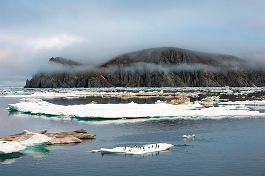 A journey to the end of the world: The Arctic Sea's Wrangel Island