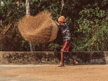 2017 - The year of the farmer?