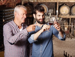 Family managed businesses and the dilemma of stepping down in favour of professionals