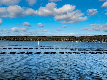 Oysters from Australia: Adding to the flavour on the plate