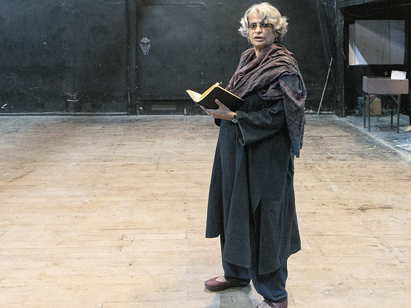 Anuradha Kapur: Directing change