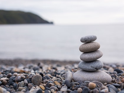 The four essential roles of a CEO