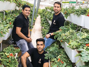 Water of plenty: Meet the trio practising soilless farming in Delhi