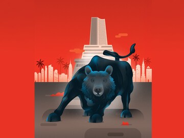 Baiting the Bull