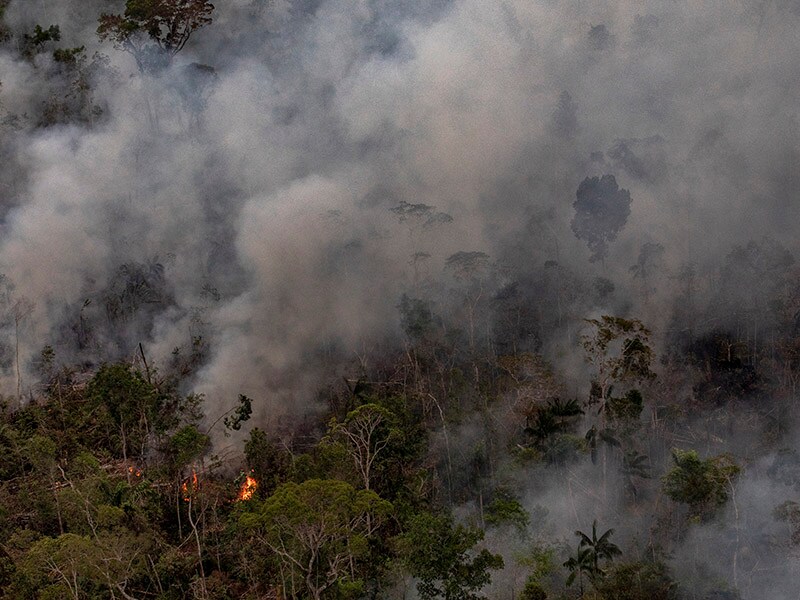 Brazil angrily rejects millions in Amazon aid pledged at G-7, then accepts British aid