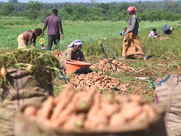 Focus on farmers, a healthy sign