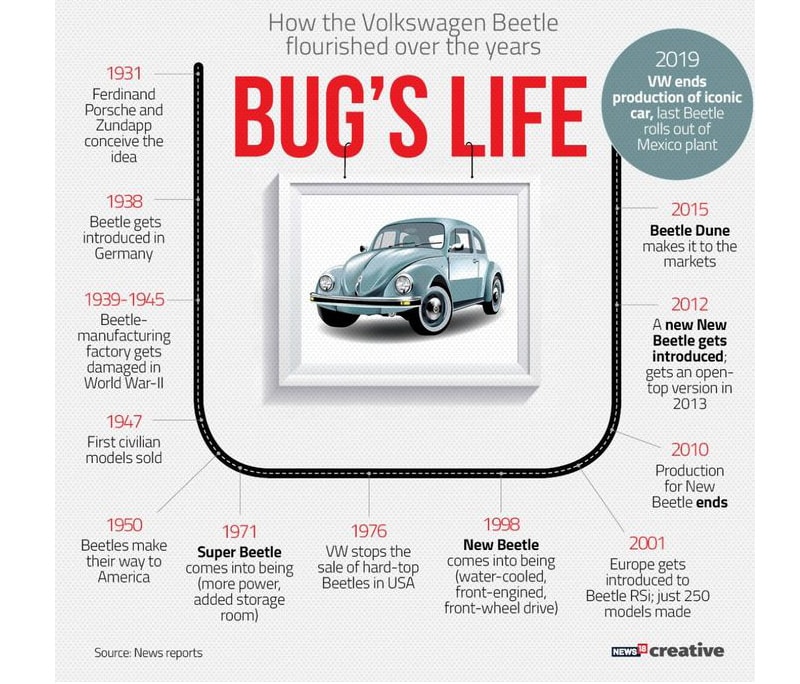 g_118585_beetle_bg_280x210.jpg