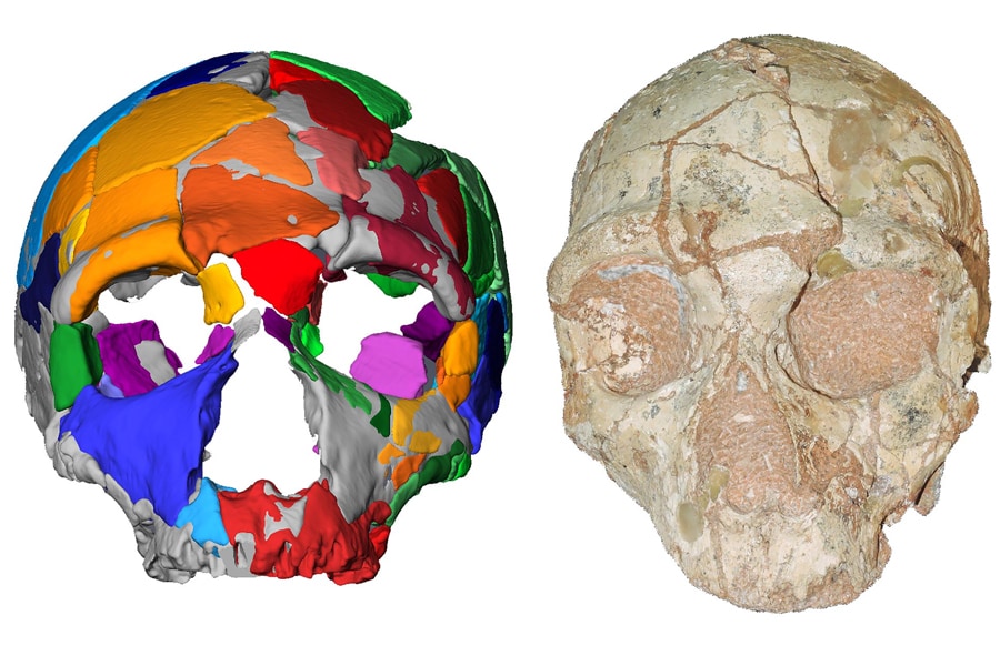 g_118673_skull_280x210.jpg