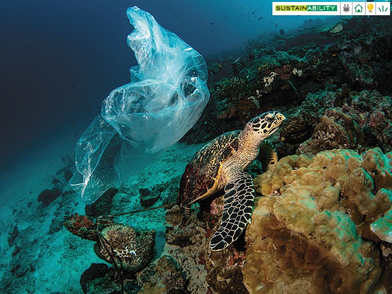 Adidas aims to eliminate virgin plastic use by 2024