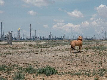 A windswept plain, a sea of oil and a mountain of money
