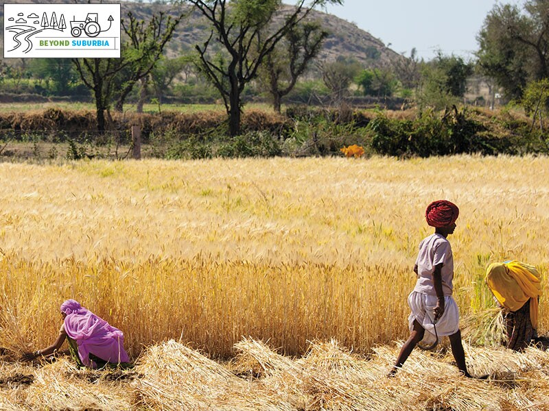 What's eating rural India?