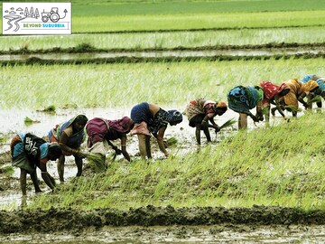 Credit where due: Startups solving the rural banking problem