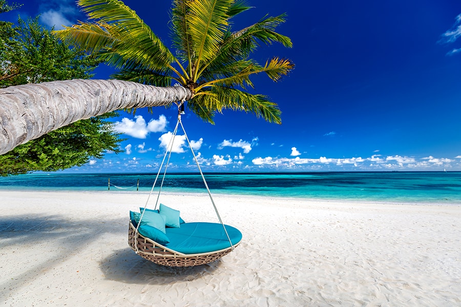 couple in paradise_shutterstock_bg