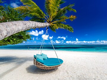They were the last couple in paradise. It may bankrupt them