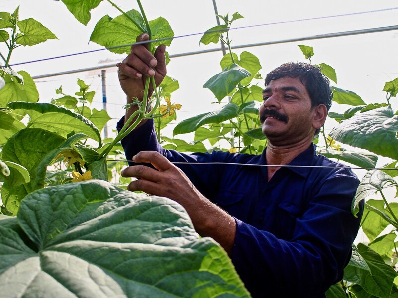 Too small to serve to too large to ignore:  SMEs, the new frontier for digital vendors?