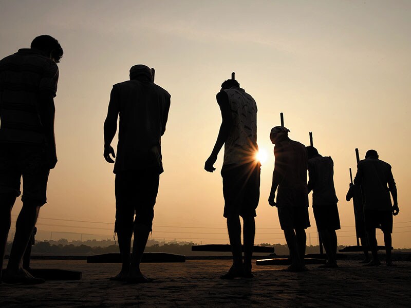 livelihood