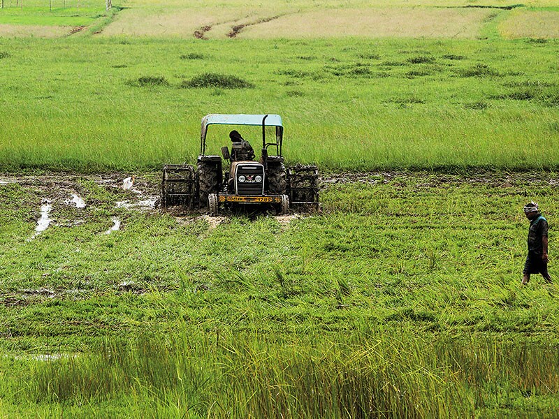 rural economy