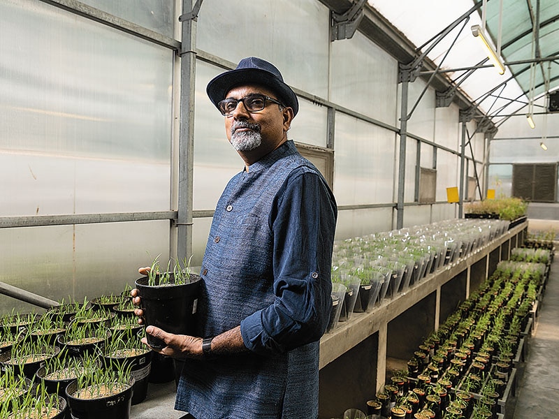 dr alok adholeya