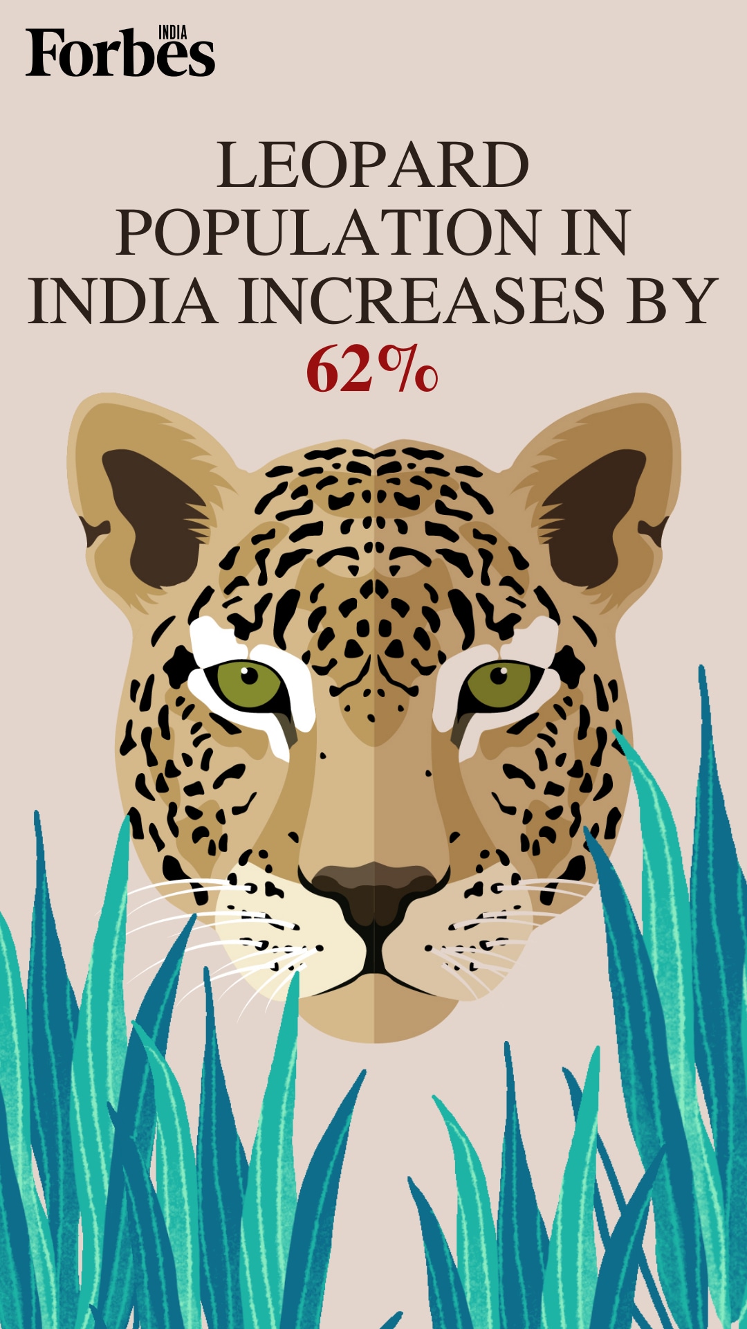 News by Numbers: India's leopard population grows 62% in 4 years but still 'vulnerable'