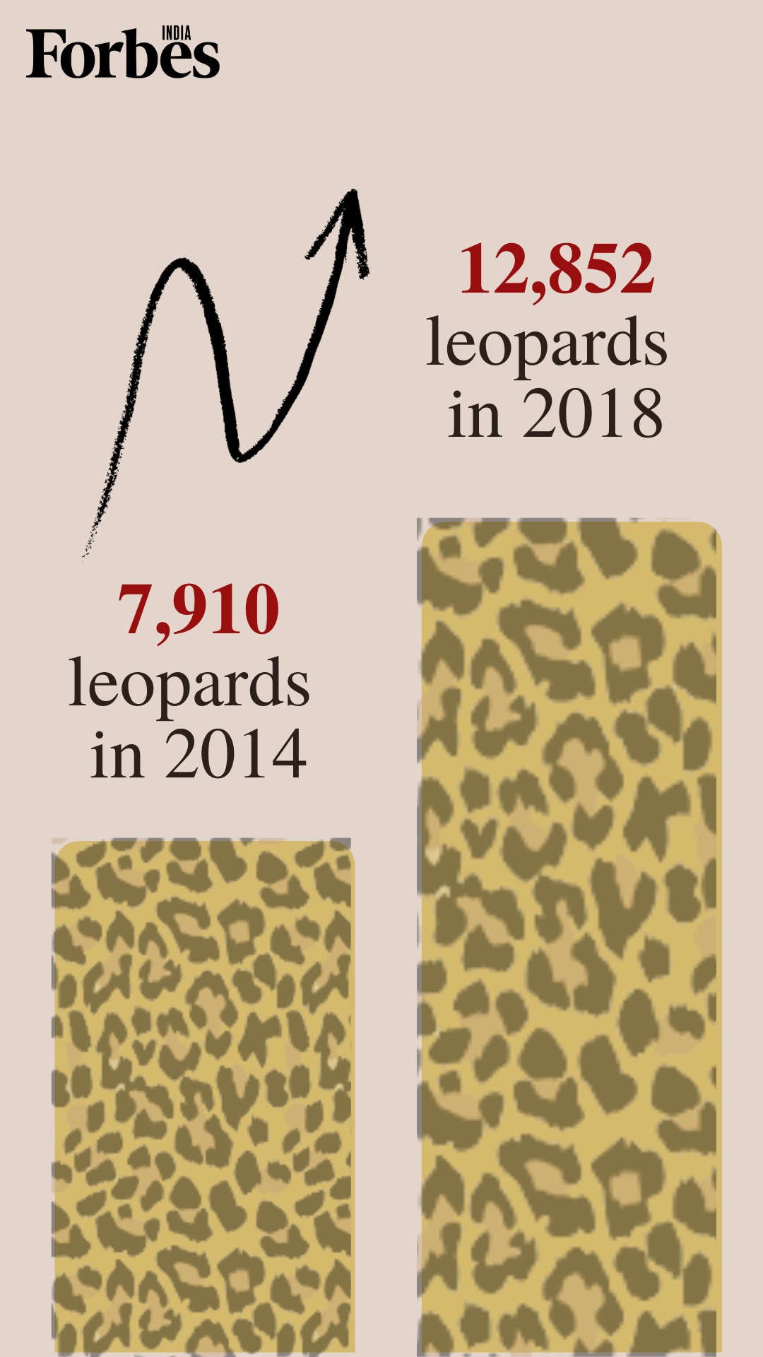 News by Numbers: India's leopard population grows 62% in 4 years but still 'vulnerable'