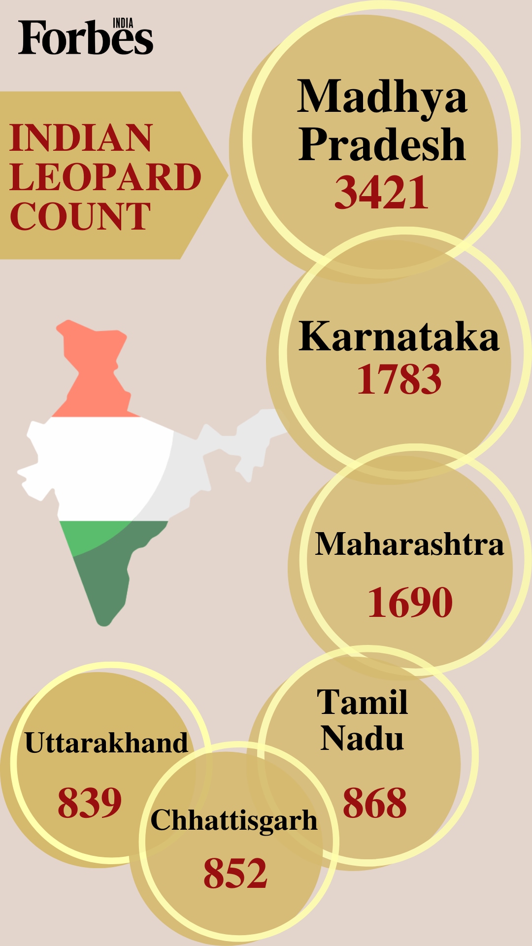 News by Numbers: India's leopard population grows 62% in 4 years but still 'vulnerable'