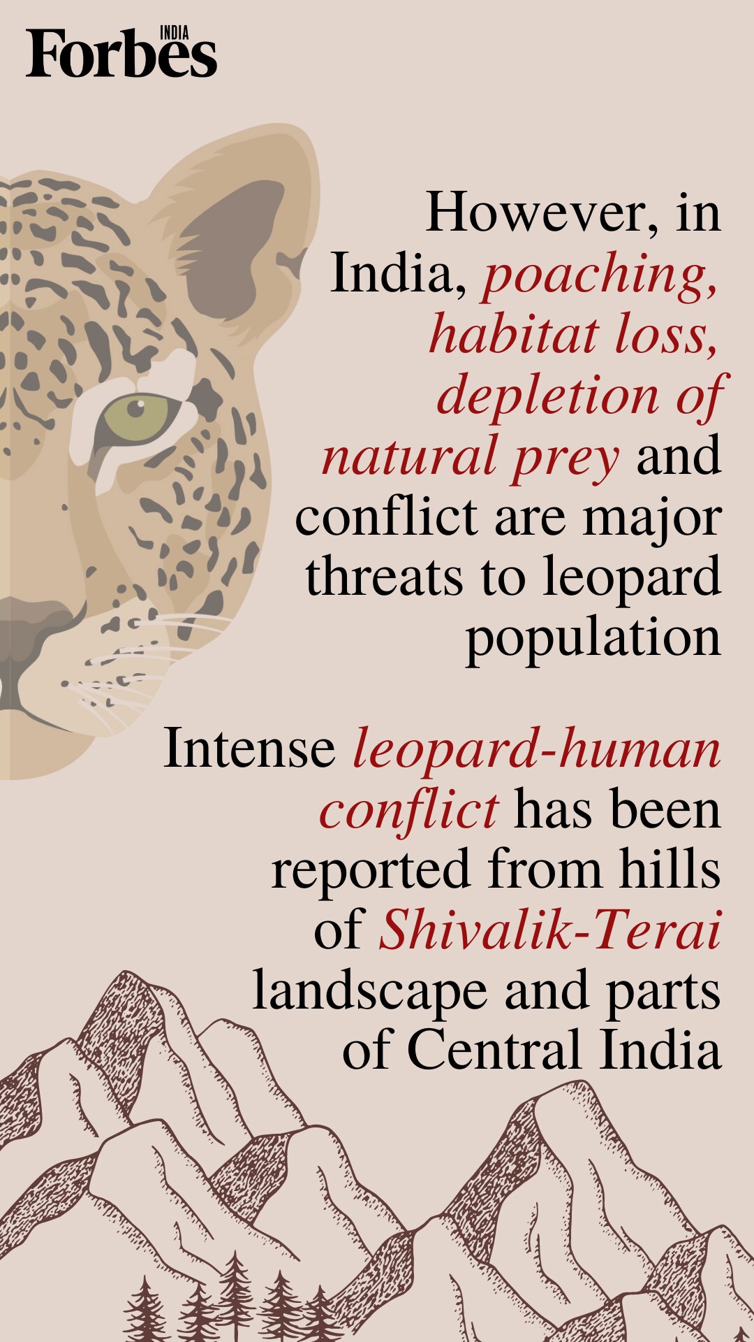 News by Numbers: India's leopard population grows 62% in 4 years but still 'vulnerable'