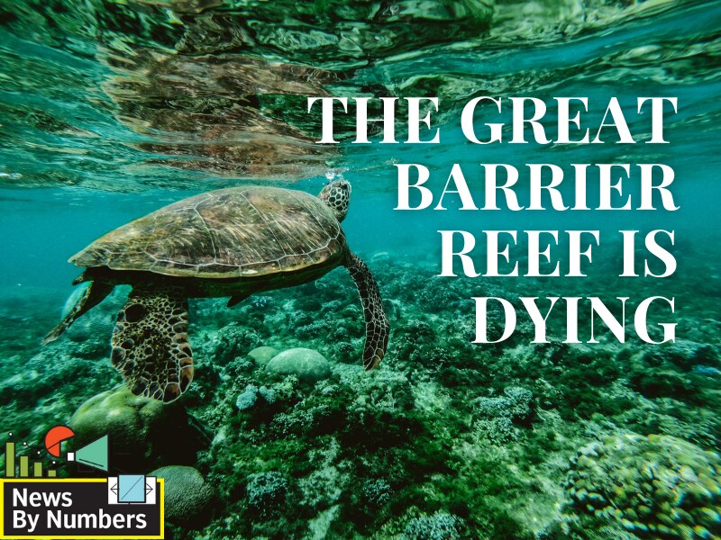 The Great Barrier Reef Is Dying, Here's Why - Forbes India