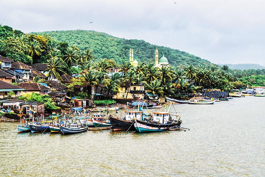 konkan landscape