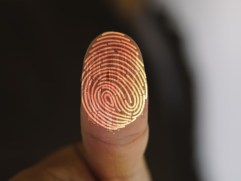 Personal data of all 6.5 million Israeli voters is exposed