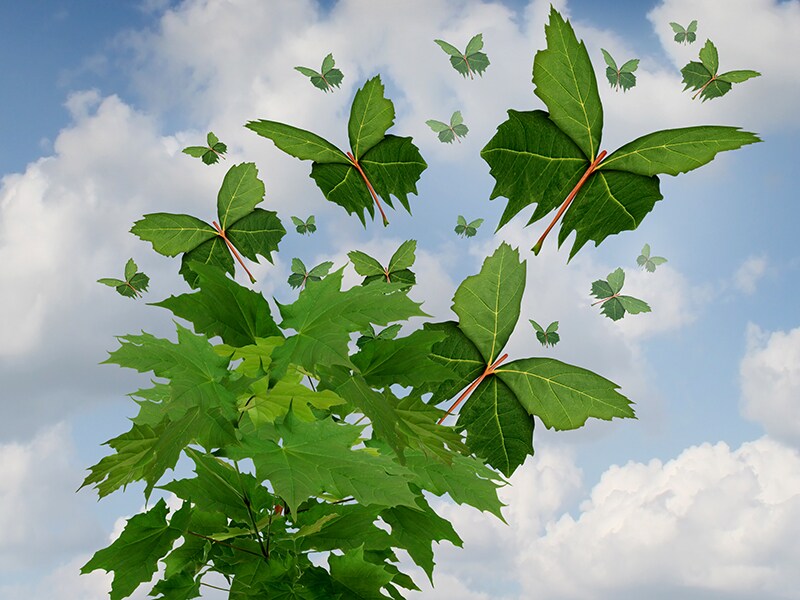 Eight sustainability trends to watch out for in 2020