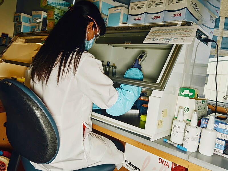 Some Covid-19 vaccine makers say they plan to make a profit