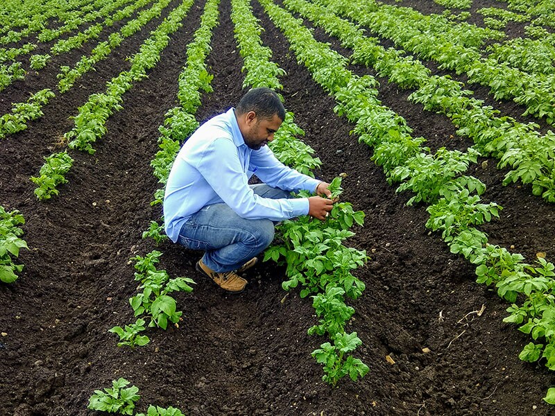 opening_sambhajijaid_farmer_s