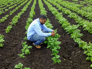 Will the govt's agri reforms seed change for farmers?