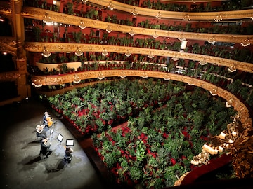 Photo of the Day: An opera for plants
