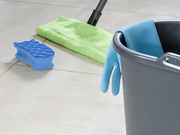 Domestic workers clean our homes. Should we keep them out?
