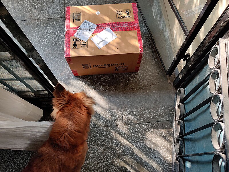 amazon delivery s