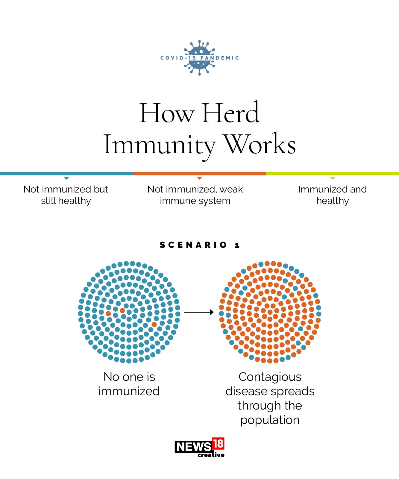 Herd immunity: How does it work?